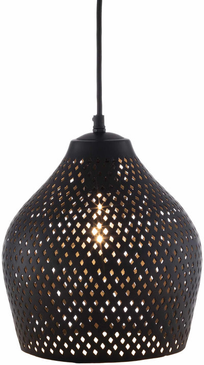 Hytop Black Metal Ceiling Lighting