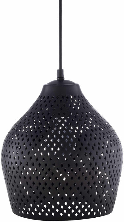 Hytop Black Metal Ceiling Lighting