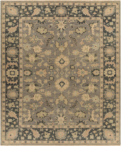 Aimon Area Rug