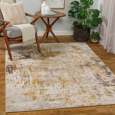 Akdere Area Rug - Clearance