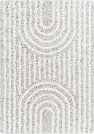 Akela Shag Area Rug