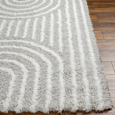 Akela Shag Area Rug