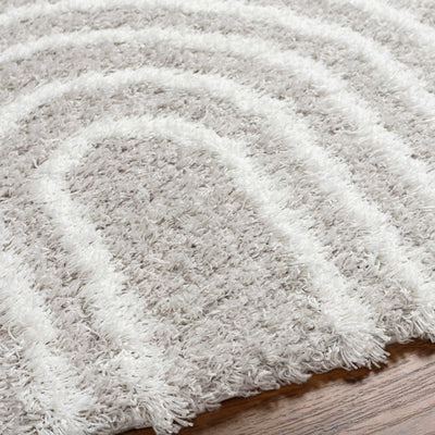 Akela Shag Area Rug