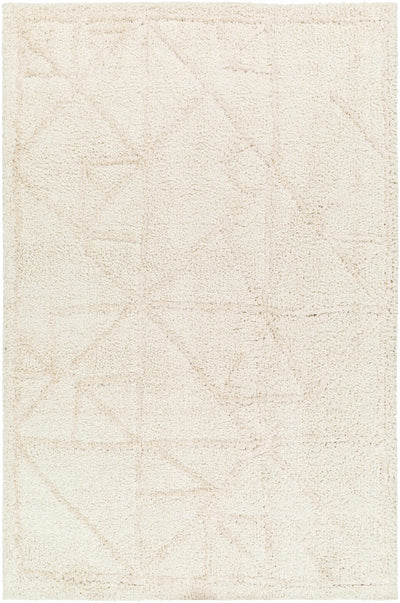 Akili Area Rug