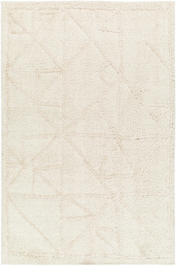 Akili Area Rug