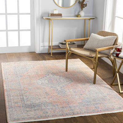 Akio Ultra Distressed Area Rug