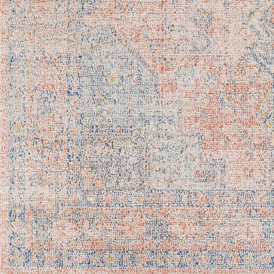 Akio Ultra Distressed Area Rug