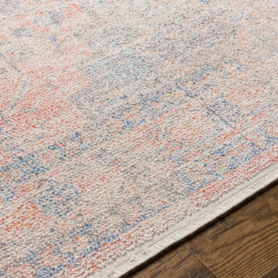 Akio Ultra Distressed Area Rug