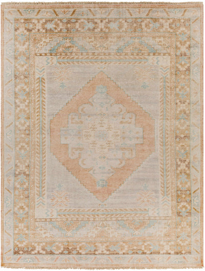 Aliang Area Rug