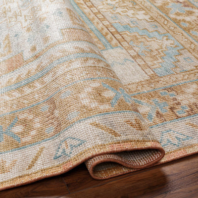 Aliang Area Rug