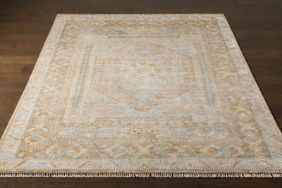 Aliang Area Rug