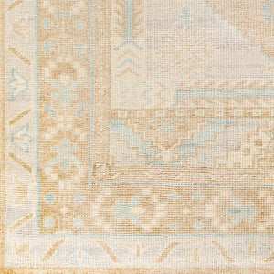 Aliang Area Rug