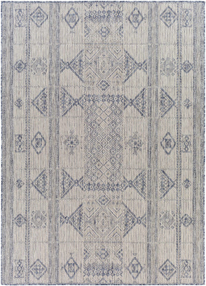 Malamig Gray & Blue Area Rug - Clearance