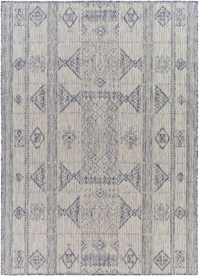 Malamig Gray & Blue Area Rug - Clearance