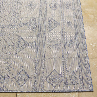 Malamig Gray & Blue Area Rug - Clearance