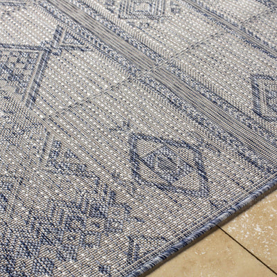 Malamig Gray & Blue Area Rug - Clearance