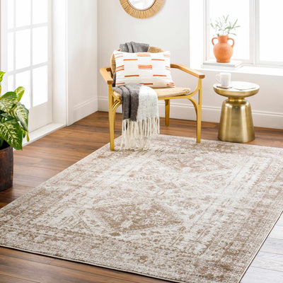 Ameya Area Rug