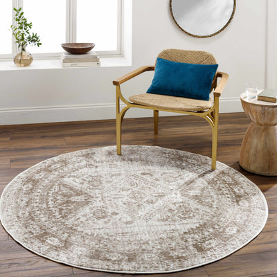 Ameya Area Rug