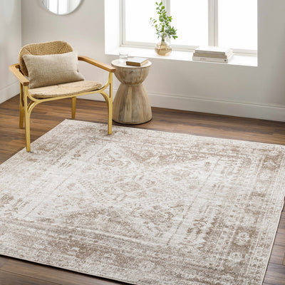 Ameya Area Rug