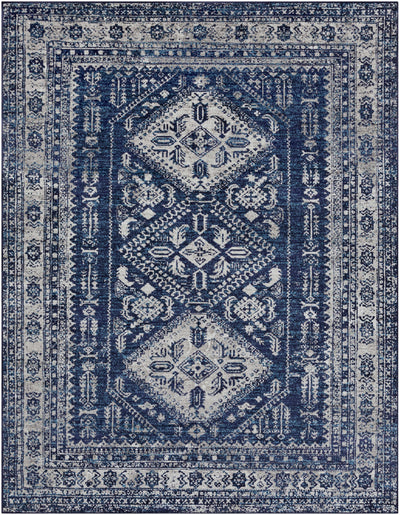 Andes Area Rug