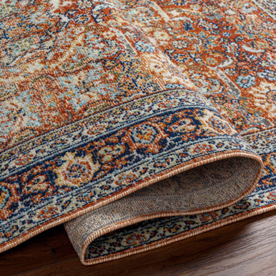 Ania Area Rug - Clearance