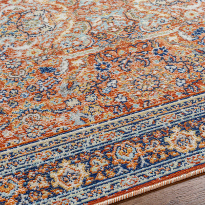 Ania Area Rug - Clearance