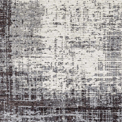 Binh Gray Area Rug - Clearance