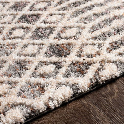 Araceli Area Carpet - Clearance