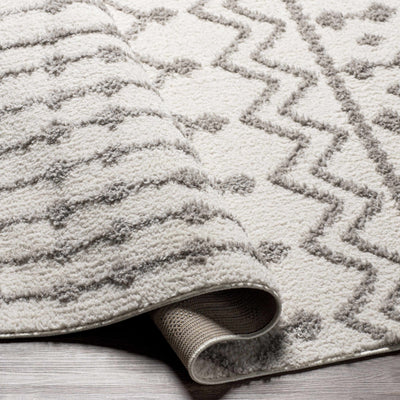 Arhavi Area Rug - Clearance