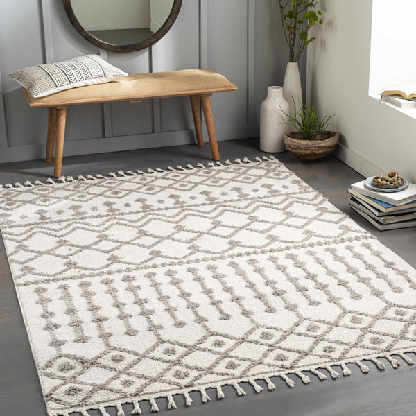 Arhavi Area Rug - Clearance