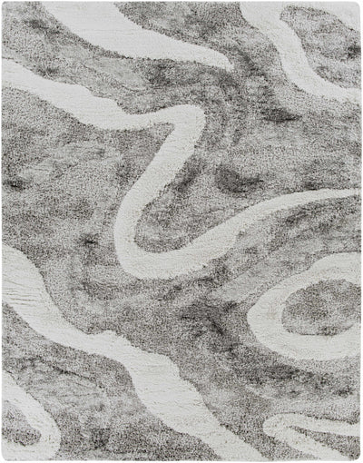 Asfordby Gray Canyon Plush Rug