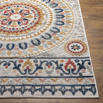 Asis Area Rug - Clearance