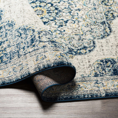 Asturga Area Rug - Clearance