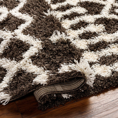 Aysel Shag Area Rug