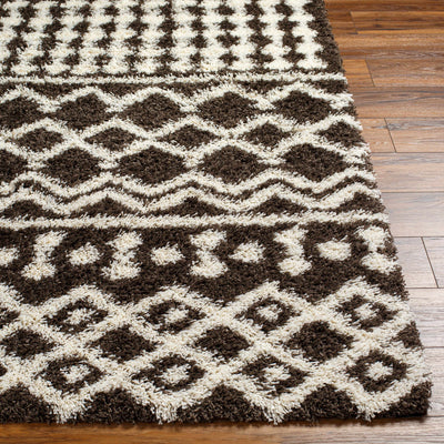 Aysel Shag Area Rug