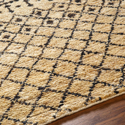 Aziza Area Rug