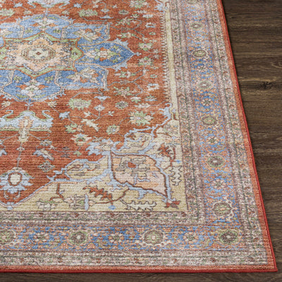 Bacoor Washable Area Rug - Clearance