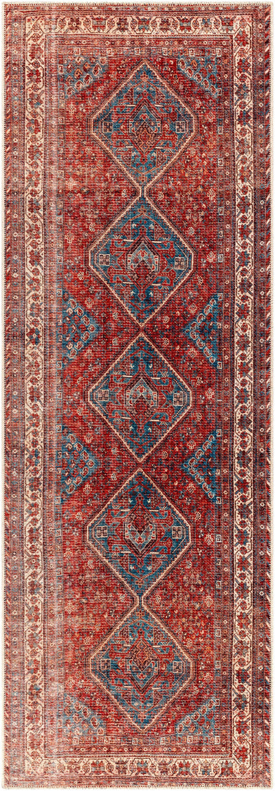 Bademli Washable Area Rug - Clearance