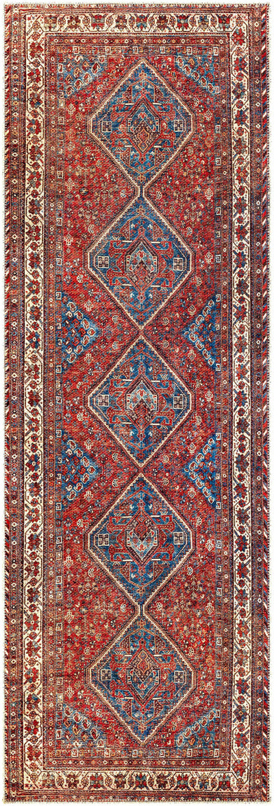 Bademli Washable Area Rug - Clearance