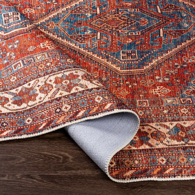 Bademli Washable Area Rug - Clearance