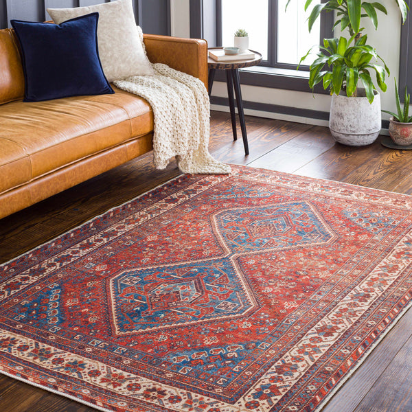 Bademli Washable Area Rug - Clearance