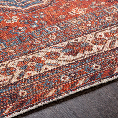 Bademli Washable Area Rug - Clearance