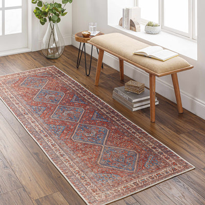 Bademli Washable Area Rug - Clearance