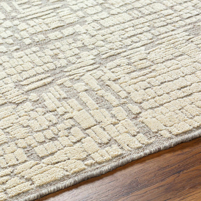 Baina Area Rug