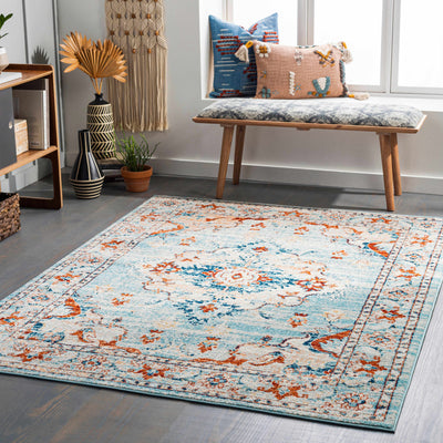 Liciada Light Blue Area Rug - Clearance