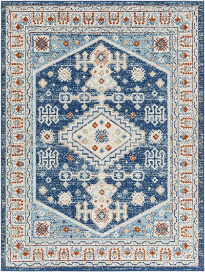 Balucawi Area Rug - Clearance