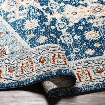 Balucawi Area Rug - Clearance