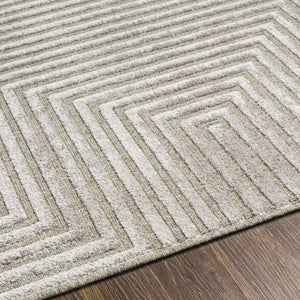 Banayoyo Gray Carved Wool&Viscose Rug