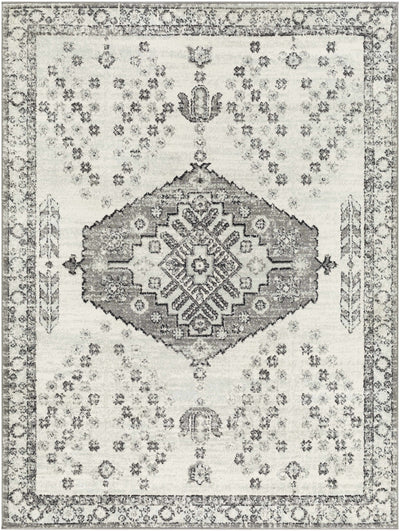 Barili Area Rug - Clearance