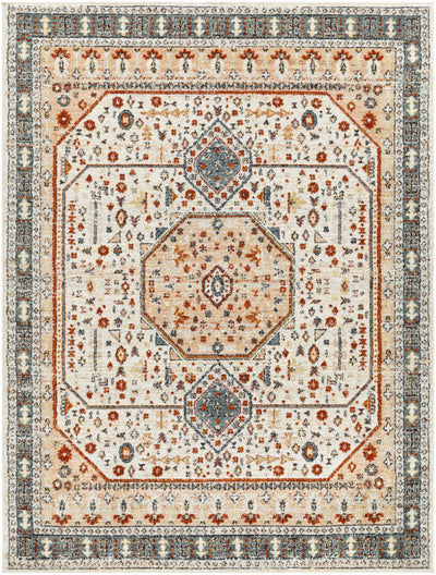 Basdiot Area Rug - Clearance